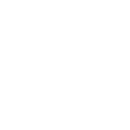 Insecticide